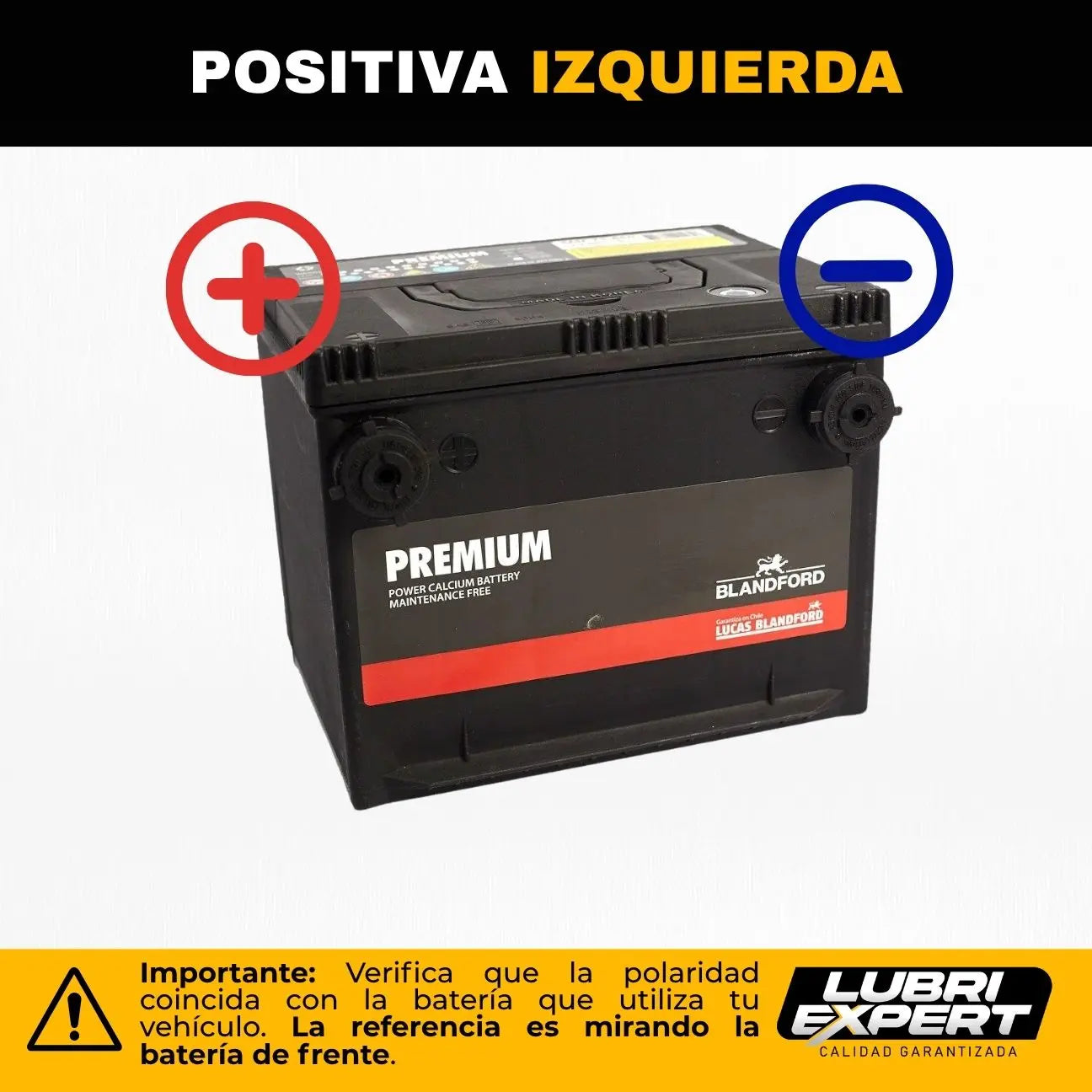 Batería Premium 12V 55 AMP 650 CCA Borne Lateral Positivo Izquierda