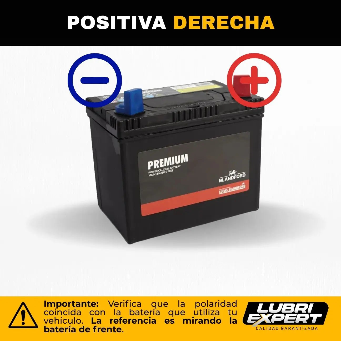 Batería Premium 12V 26 AMP 300 CCA Borne Ojo Positivo Derecha