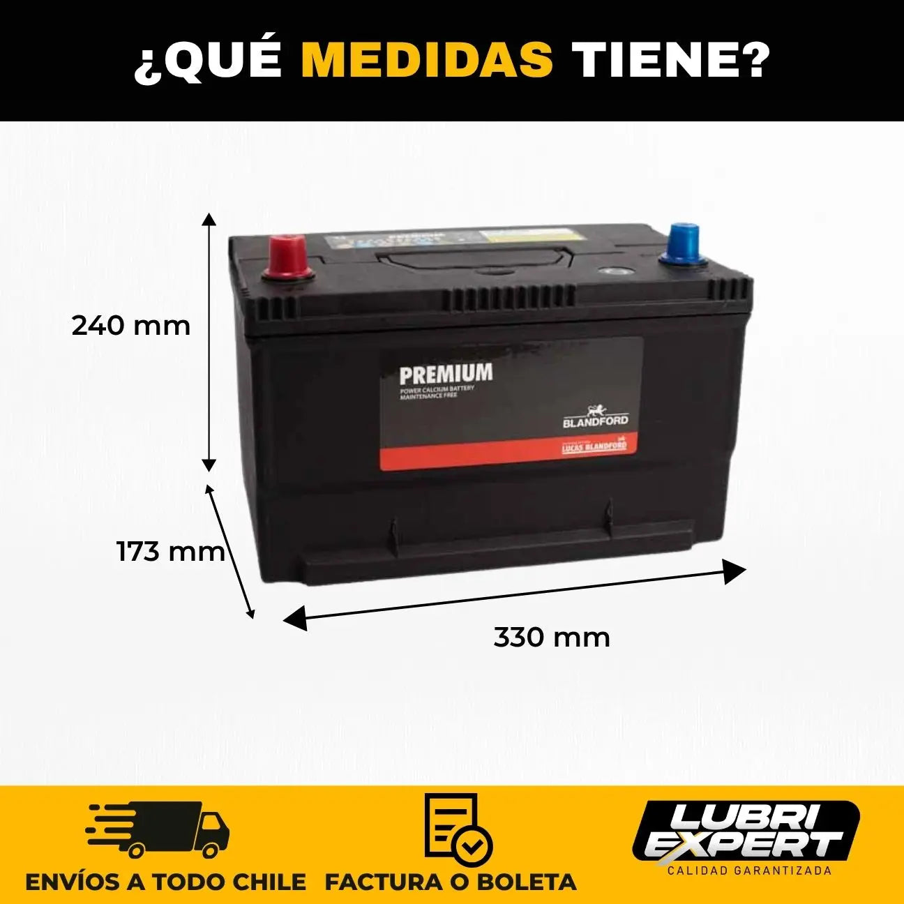 Batería Premium 12V 100 AMP 750 CCA Borne Estándar Positivo Central
